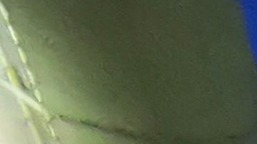 El Estadio Akron, casa de las Chias.