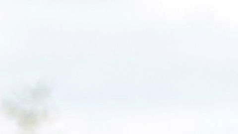 'Amor Eterno' de Univision llegó a su fin.