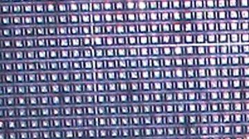 Ana Brenda Contreras