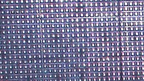 Ana Brenda Contreras