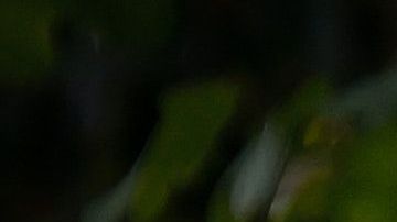 Rápidamente, recibió atención médica oportuna y ya está recuperado.