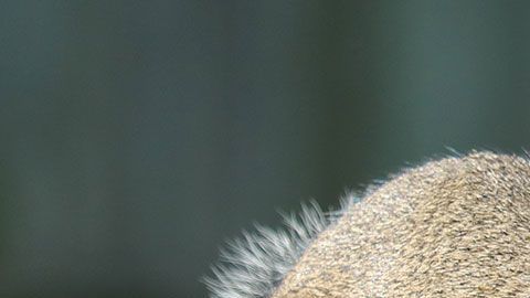 La pareja había salido de vacaciones, ya l volver encontró su casa destruida.