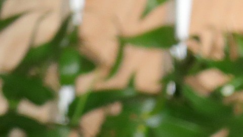 gwyneth paltrow auto