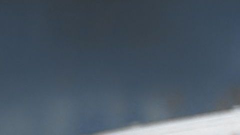 Entre las acciones de cuidado del auto durante la primavera es darle una buena lavada y retirar todo desorden de su interior, guantera y baúl.