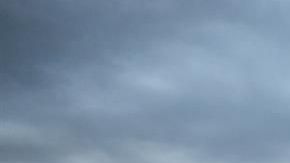 Los asistentes solo podían bajar de los autos para ir al baño