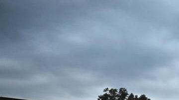 Los asistentes solo podían bajar de los autos para ir al baño