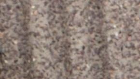 Reemplazar una batería dependerá del nivel de daño que tenga, por lo que deberás llevarla a realizar una evaluación.