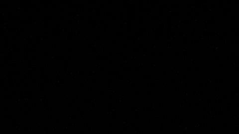 Joe Biden, candidato presidencial.