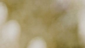 Alguien retiró su oferta de adopción porque era "negrita".