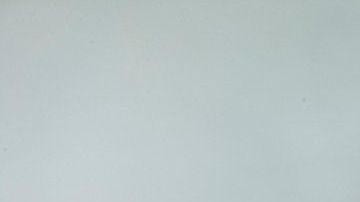 Los insectos en los sueños transmiten un mensaje del subconsciente.