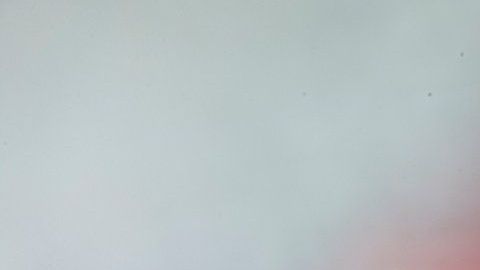 Los insectos en los sueños transmiten un mensaje del subconsciente.