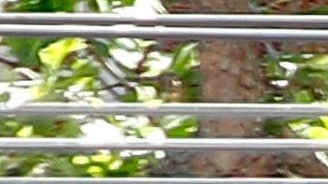 Una persona pasa por una tienda minorista de Old Navy cerrada en San Francisco, California, el 29 de abril de 2020.