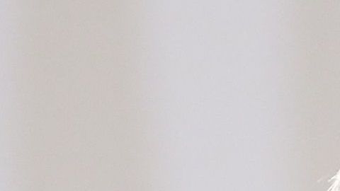 Los presidentes Andrés Manuel López Obrador y Donald Trump.