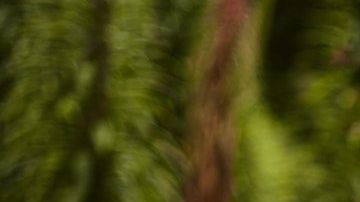 Hay signos que poseen un fuerte carácter.