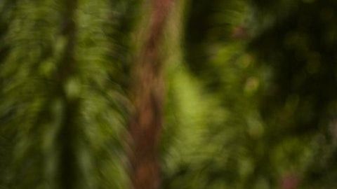 Hay signos que poseen un fuerte carácter.