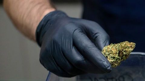 Madrid Cannabis Club Reopens With Social Distancing Measures