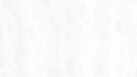 Coronavirus en EE.UU.