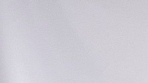 Un Centro para el Control de Covid en Illinois al igual que sus sedes en todo el país no atenderán de manera indefinida ya que están bajo investigación federal.