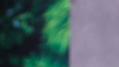 Chiquibaby de 'Un nuevo día"