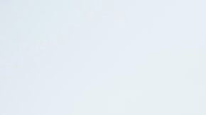 El camello fue encontrado con cicatrices en el cuerpo y signos de agotamiento.