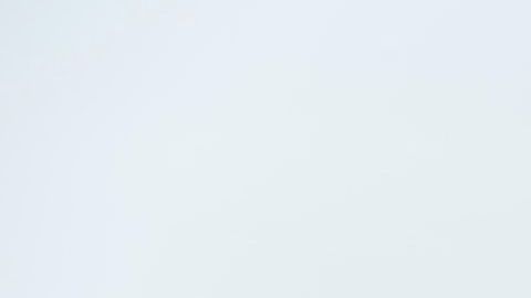 El camello fue encontrado con cicatrices en el cuerpo y signos de agotamiento.