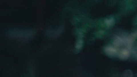 Su más grande ilusión era poder convertirse en madre.