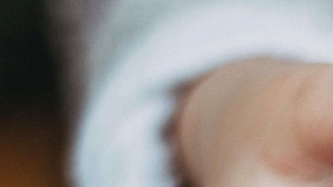 Galletas de avena y coco.