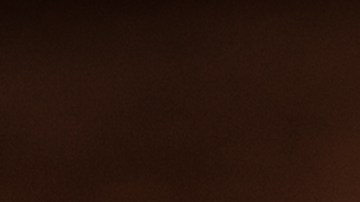 Las costillas son una buena opción para tu parrillada del 4 de Julio.