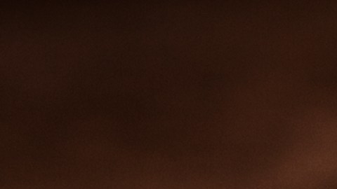 Las costillas son una buena opción para tu parrillada del 4 de Julio.