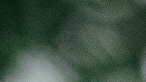 Un cliente deja propina de $1,000 dólares en restaurante de Nueva Jersey