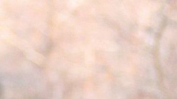 Los taladores consideran esto como un "milagro".