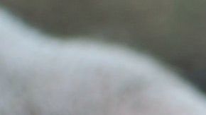 Los virus de influenza son más contagiosos.