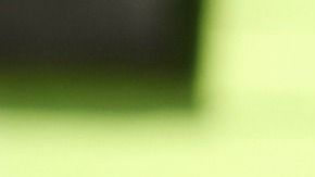 El perro llevaba un microchip y fue así como lograron devolverlo a su dueña.