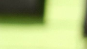 El perro llevaba un microchip y fue así como lograron devolverlo a su dueña.