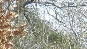 Nuestros Barrios Prospect Park - Washington Ave - Brooklyn Museum - Botanic Garden