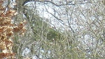 Nuestros Barrios Prospect Park - Washington Ave - Brooklyn Museum - Botanic Garden