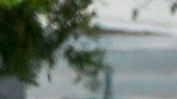 Coronavirus en Miami