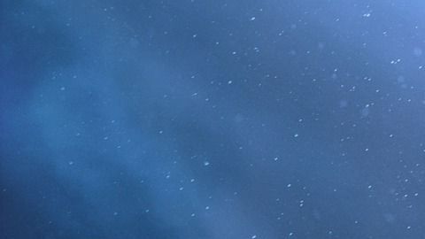 Los planetas influyen en todos los signos.