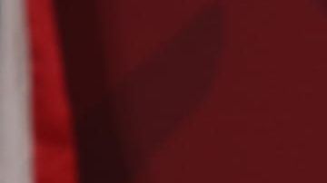 El canciller destacó que México participa en los esfuerzos del desarrollo de la vacuna.