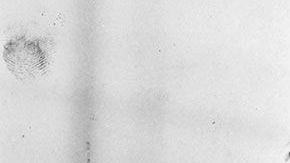 Elvis Presley.