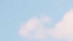 Conoce 5 razones que te animarán a salir con un Leo.