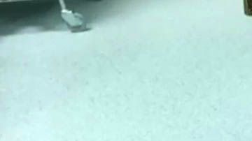 Personal del Hospital Universitario Miguel Servet de Zaragoza atendió al joven.