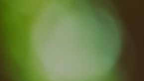 La astrología puede ayudarte a lograr que te perdonen.