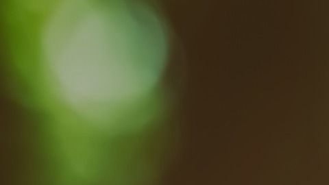 La astrología puede ayudarte a lograr que te perdonen.