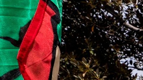 Rent - Coronavirus epidemic in Los Angeles