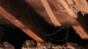 Techo en un 5to piso quemado en El Bronx