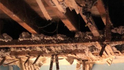 Techo en un 5to piso quemado en El Bronx