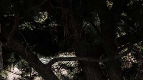 FF 91.
Crédito: Cortesía Faraday Future.