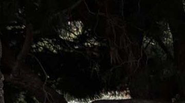 FF 91.
Crédito: Cortesía Faraday Future.