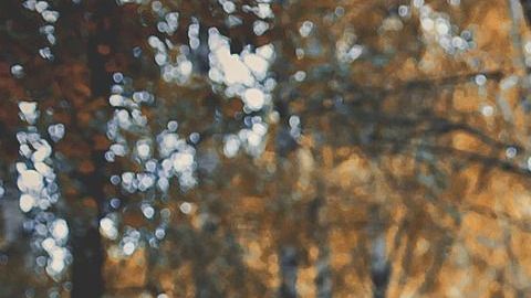 Cada signo zodiacal tiene un poder mágico.